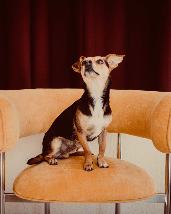 Finest Property by Marcus Egger